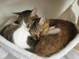 IMG02517.jpg