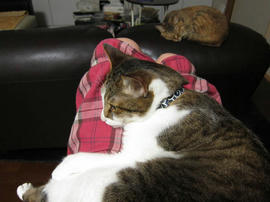 IMG02518.jpg