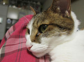 IMG02521.jpg