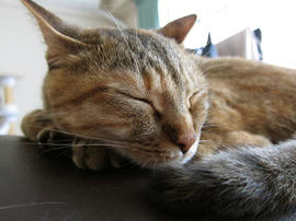 IMG02529.jpg