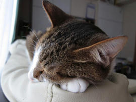 IMG02530.jpg