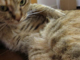 IMG02526.jpg