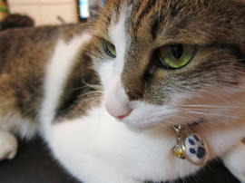 IMG02531.jpg