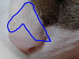 IMG02533.jpg