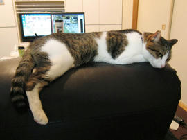 IMG02534.jpg