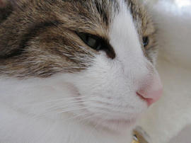 IMG02541.jpg