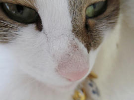 IMG02542.jpg