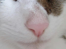 IMG02540.jpg