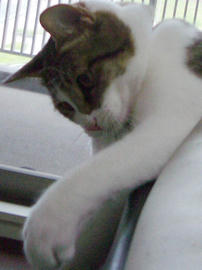 IMGP11502.jpg