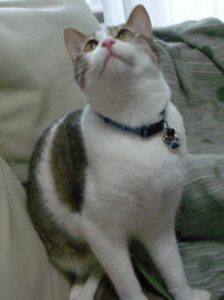IMGP11510.jpg