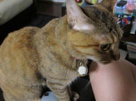IMG02548.jpg