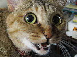 IMG02549.jpg