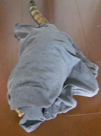 IMGP11517.jpg