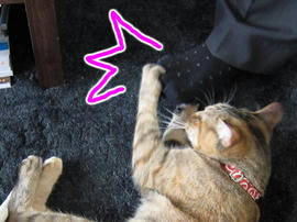 IMG02556.jpg