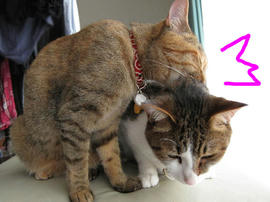 IMG02559.jpg