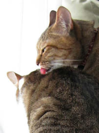 IMG02561.jpg