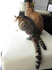 IMG02562.jpg