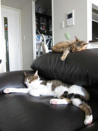 IMG02566.jpg