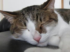 IMG02568.jpg