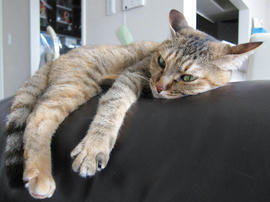 IMG02569.jpg