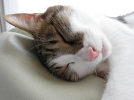 IMG02570.jpg