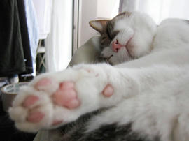 IMG02571.jpg