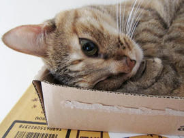 IMG02575.jpg