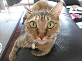IMG02577.jpg