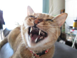 IMG02579.jpg