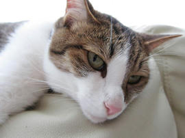 IMG02581.jpg