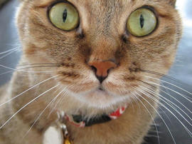 IMG02578.jpg