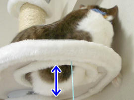 IMGP11543.jpg