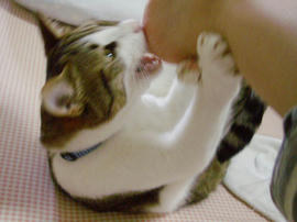 IMGP11567.jpg