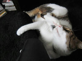 IMG02587.jpg