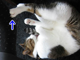 IMG02588.jpg