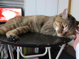 IMG02590.jpg