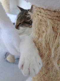 IMG02604.jpg