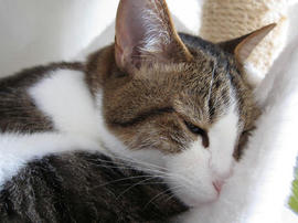 IMG02605.jpg