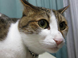 IMG02607.jpg
