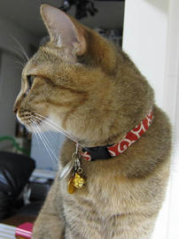 IMG02609.jpg