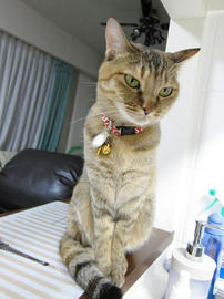 IMG02610.jpg