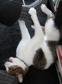 IMG02612.jpg