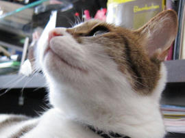 IMG02614.jpg