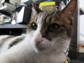 IMG02615.jpg