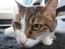 IMG02616.jpg