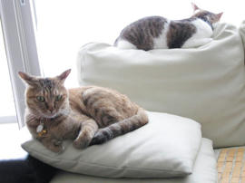 IMG02617.jpg