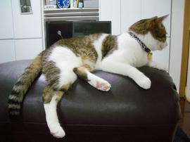 IMGP14074.jpg