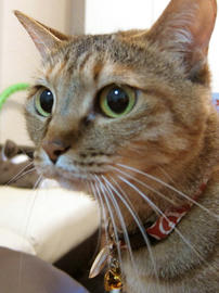 IMG02618.jpg