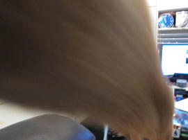 IMG02619.jpg