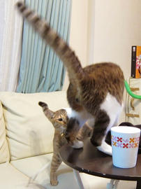IMG02620.jpg